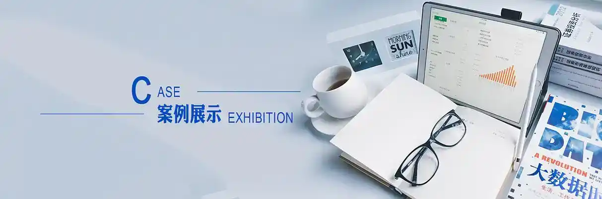 西林县软件开发
